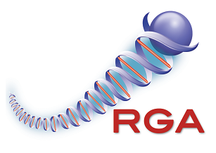File:Rga1.1.png