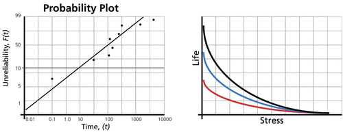 Life Distribution.png